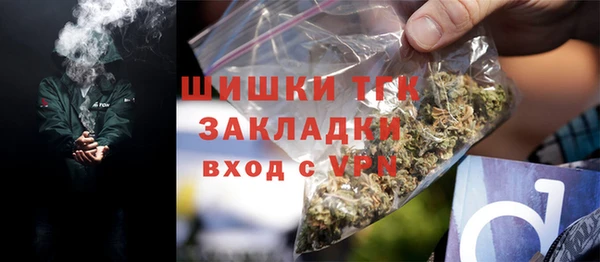 стаф Богородицк