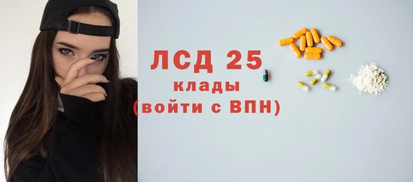стаф Богородицк