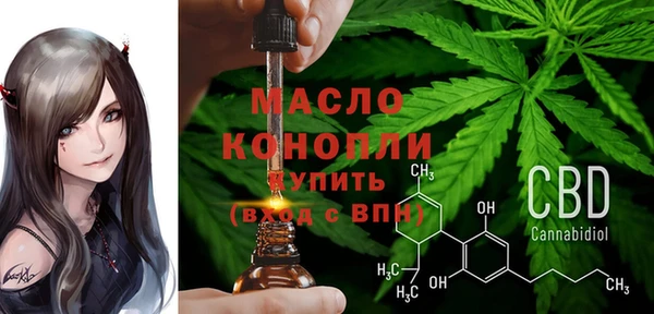 стаф Богородицк