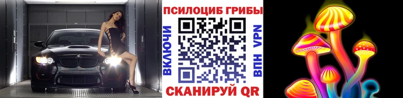 продажа наркотиков  Йошкар-Ола  OMG   Псилоцибиновые грибы Cubensis 